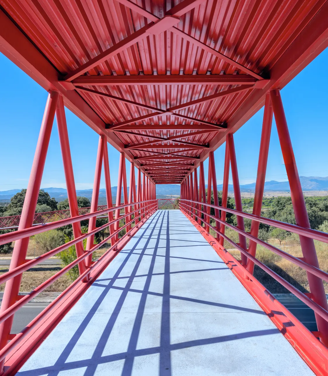 Strong surface adhesion