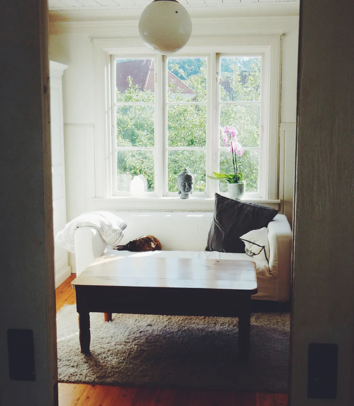 Low VOC and low odour formulation