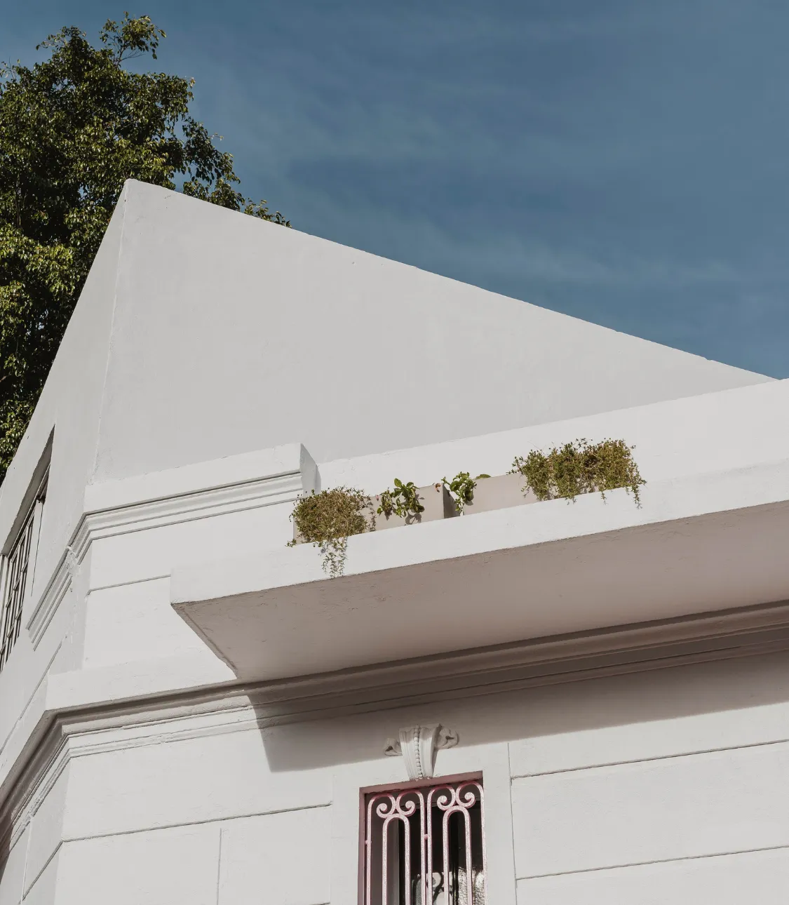 Seals pores and surface dust